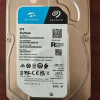 Hard Disk Seagate SkyHawk 2 TB videosorveglianza