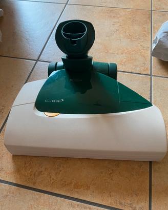 Battitappeto e picchio folletto