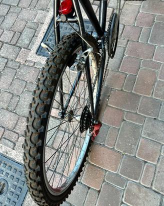 Bici mountain bike