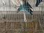 Immagine 1