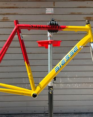 Sageborn Battaglin Mavic Miche Shimano 600