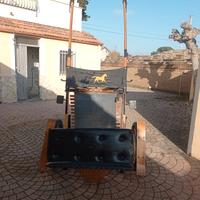 calesse con finimenti compresi 