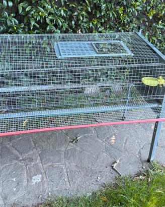 Gabbia per quaglia