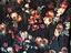 Immagine 5