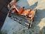 Immagine 14