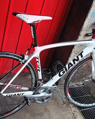 giant tcr