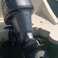Yamaha F200aetx ricambi