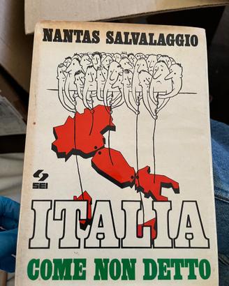 Italia Come Non Detto - Natas Salvalaggio