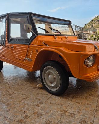 Citroen Mehari 