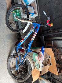 Bicicletta per bambino