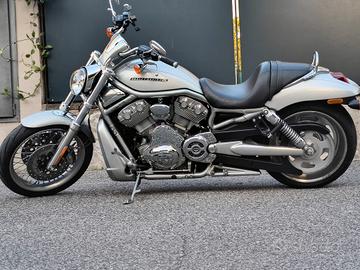 Splendida Harley Davidson vroad