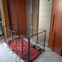 BOX KENNEL CANE/ CUCCIOLO/CONIGLI