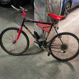 Mountain bike Bottecchia