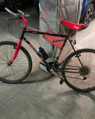 Mountain bike Bottecchia