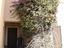 Immagine 19