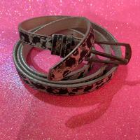 Cintura leopardata Terranova