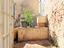 Immagine 20