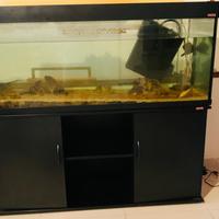 Acquario pesci con mobile contenitore