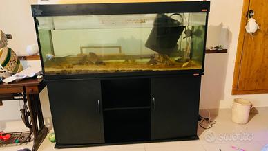 Acquario pesci con mobile contenitore