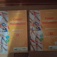 Libri scolastici usati 