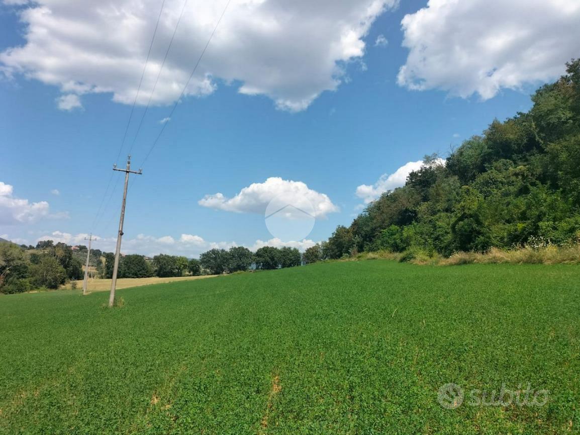 TER. AGRICOLO A TARANO - Vista 5
