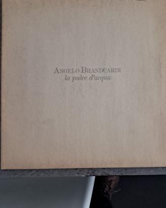 ANGELO BRANDUARDI - TOQUINHO -  PIERANGELO BERTOLI