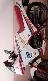 Cagiva Aletta Oro S2 1987