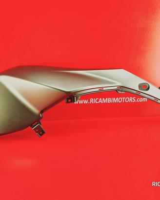 CARENA DX BECCO BMW F800GS F 800 GS