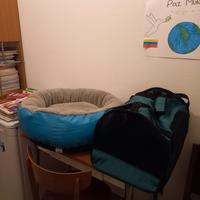 articoli per animali