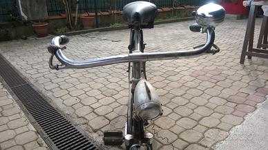 Bianchi del 1951