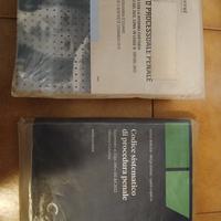 Codice sistematico e manuale di procedura penale