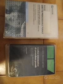 Codice sistematico e manuale di procedura penale