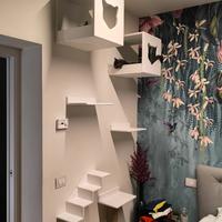 Percorso per gatti artigianale- personalizzabile