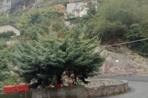 villetta su due piani a Cleto (CS) 