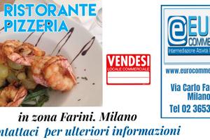 170/25 PIZZERIA RISTORANTE in zona Farini