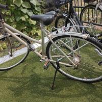 Bicicletta da uomo