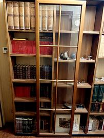 Libreria in legno con anta scorrevole in vetro 