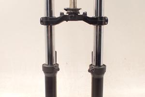 Triumph TT 600 03-04 Sospensione anteriore piastre