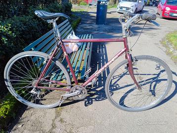 Varie Ibride Sport PRONTE