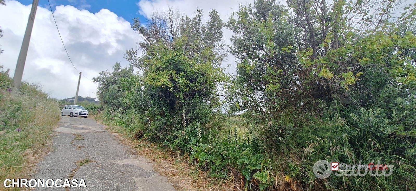 Camaro sup, panoramico terreno NON edificabile - Altro