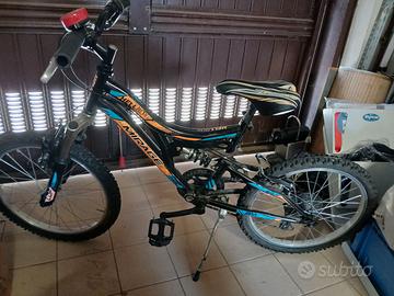 Bicicletta