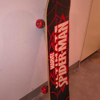 skateboard spiderman