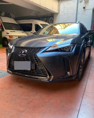 LEXUS UX 250h F-SPORT