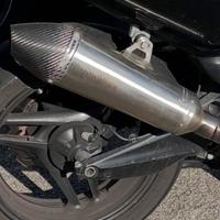 Scarico  tmax  polini 500/530