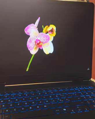 "HP Omen 16 (RTX 5070 / Intel Core Ultra 7 / 2TB