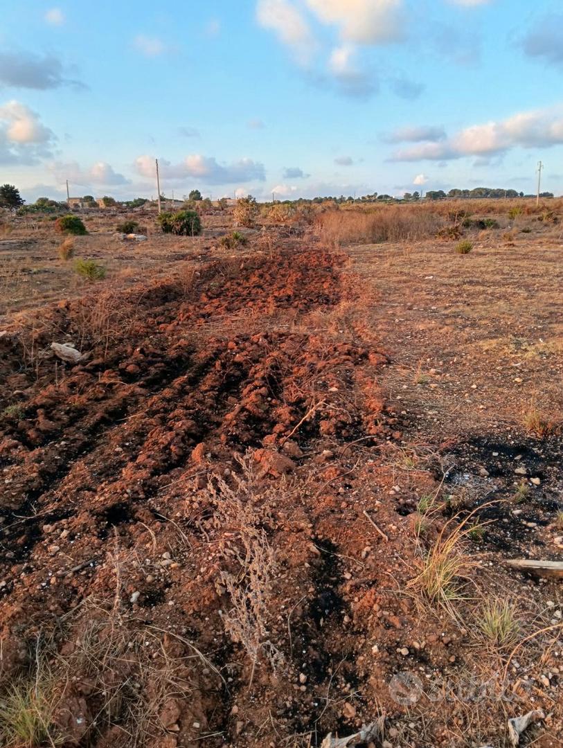 7000mq di terreno - Vista 2