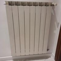 Termosifoni in alluminio