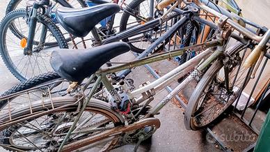 Carraro bicicletta citybyke verde