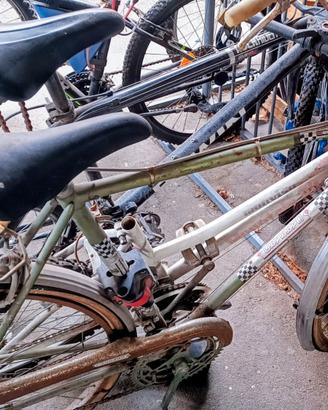 Carraro bicicletta citybyke verde