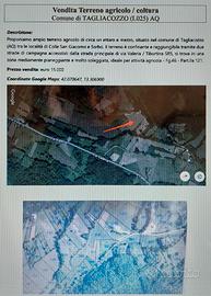 Terreno agricolo / coltura